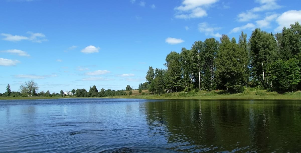 Форелевая ферма